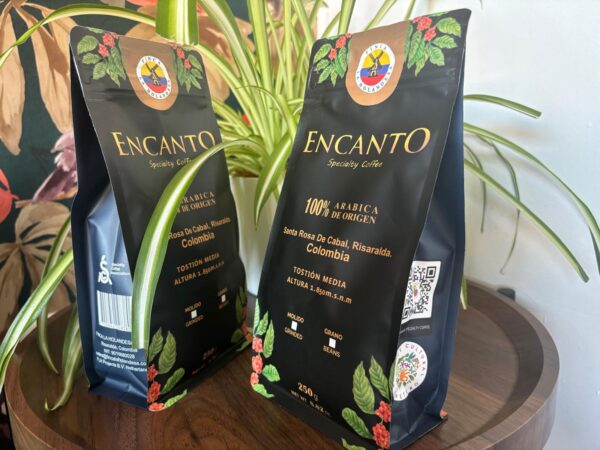 Encanto - Castillo - Washed - 250g - Image 3