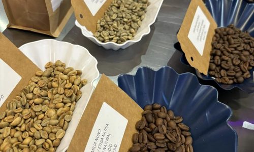 Screenshot_20250127_222224_Gallery